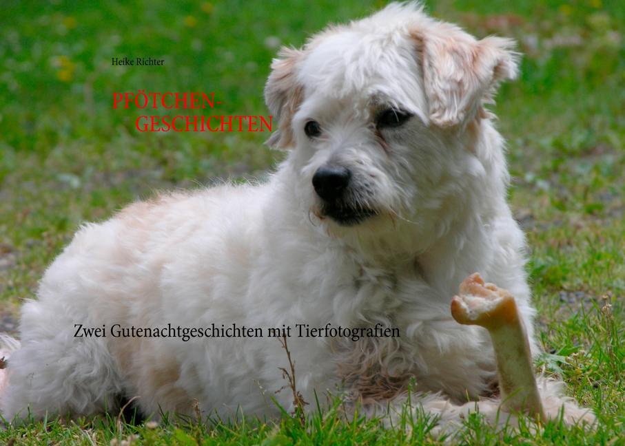 "Pfötchen-Geschichten" main product photo