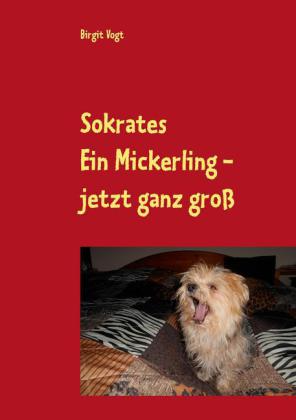 Sokrates Ein Mickerling - jetzt ganz groß