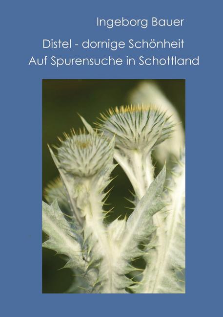 Distel - dornige Schönheit main product photo