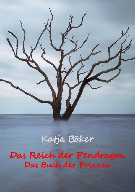 Das Reich der Pendragon main product photo