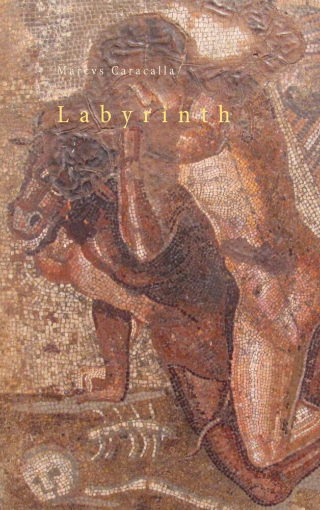 Labyrinth main product photo
