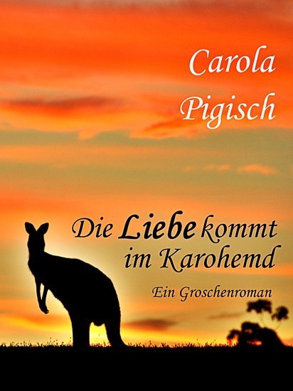Die Liebe kommt im Karohemd main product photo