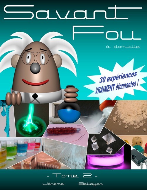 Savant Fou à domicile (Tome 2) main product photo