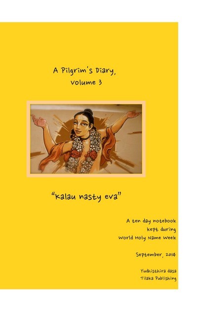 A Pilgrim's Diary, Volume 3 main product photo