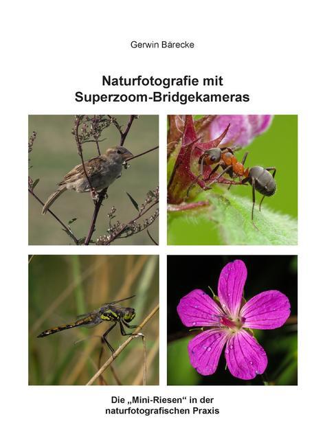 Naturfotografie mit Superzoom-Bridgekameras main product photo