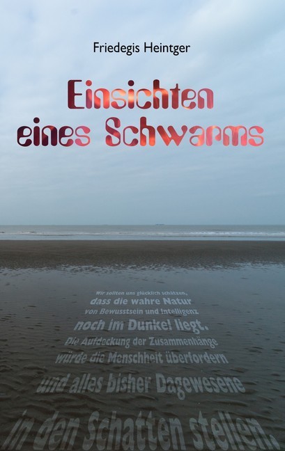 Einsichten eines Schwarms main product photo