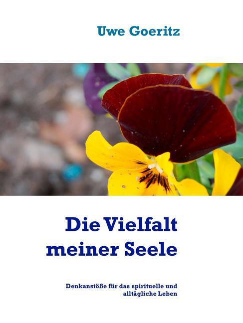 Die Vielfalt meiner Seele main product photo