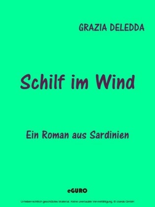 Schilf im Wind