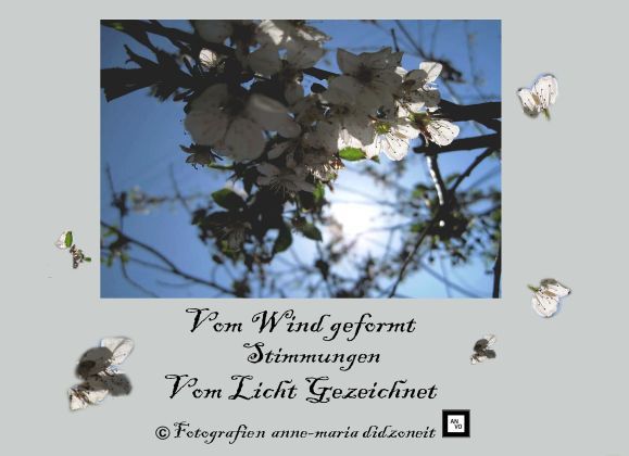 Vom Wind geformt, Stimmungen vom Licht gezeichnet main product photo