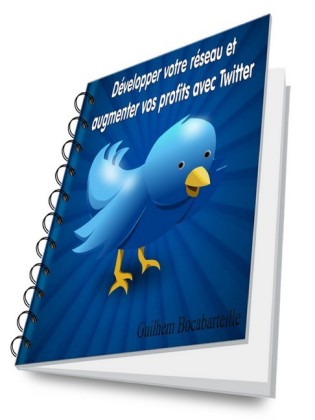 Développer votre réseau et augmenter vos profits avec Twitter