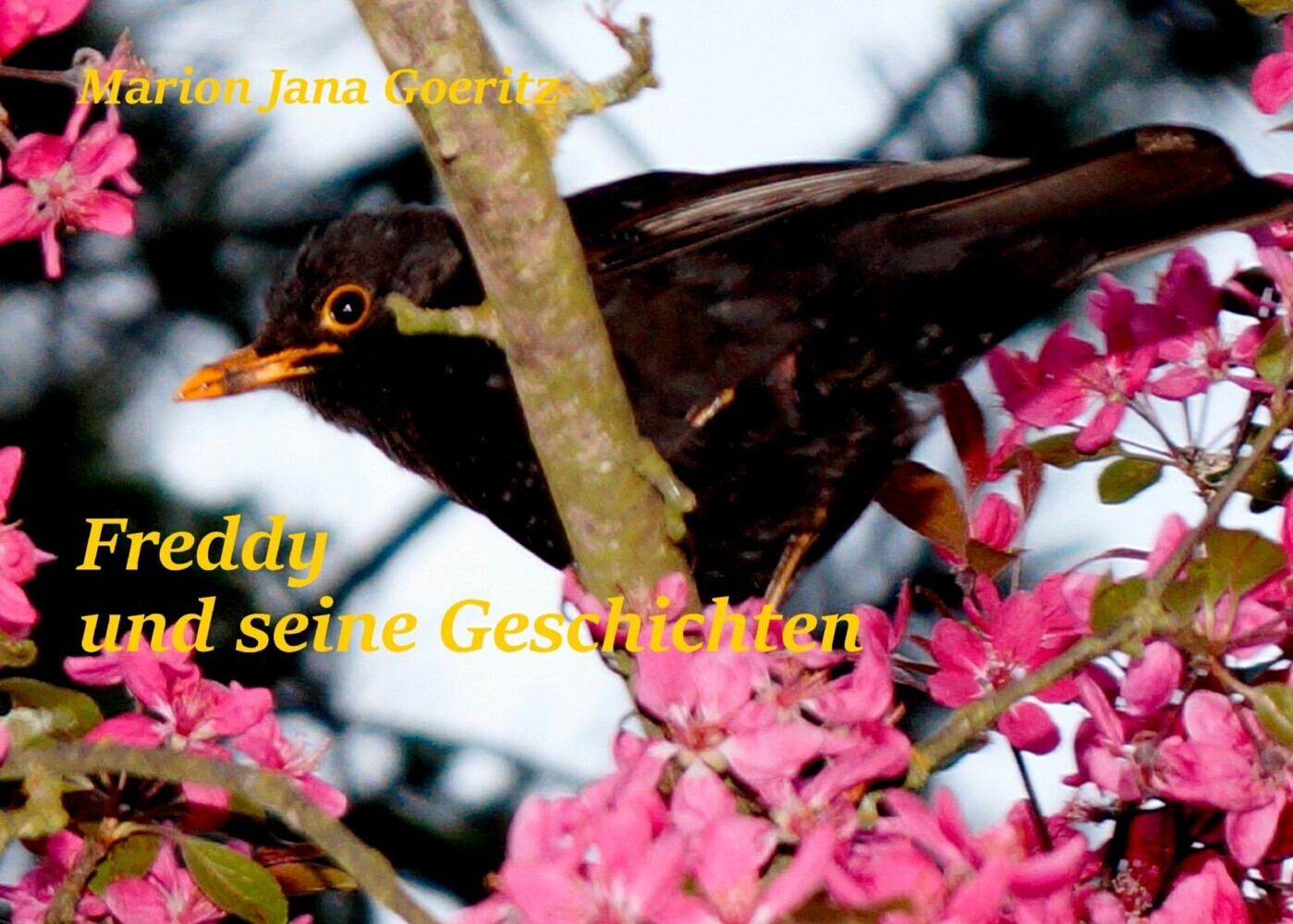 Freddy und seine Geschichten main product photo