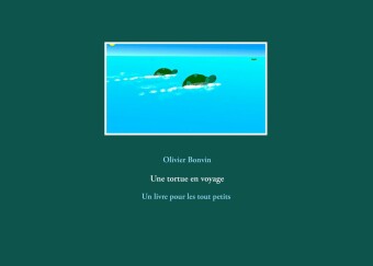 Une tortue en voyage