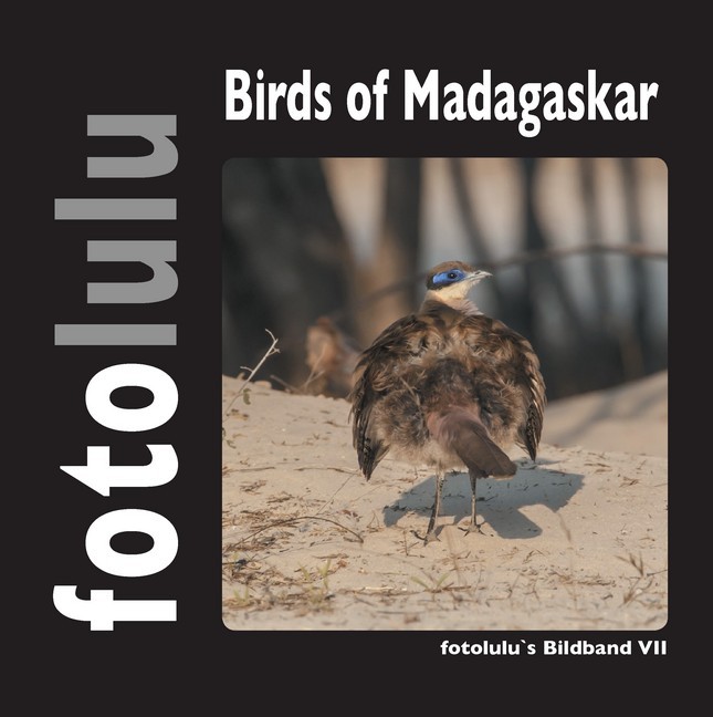 Birds of Madagaskar main product photo