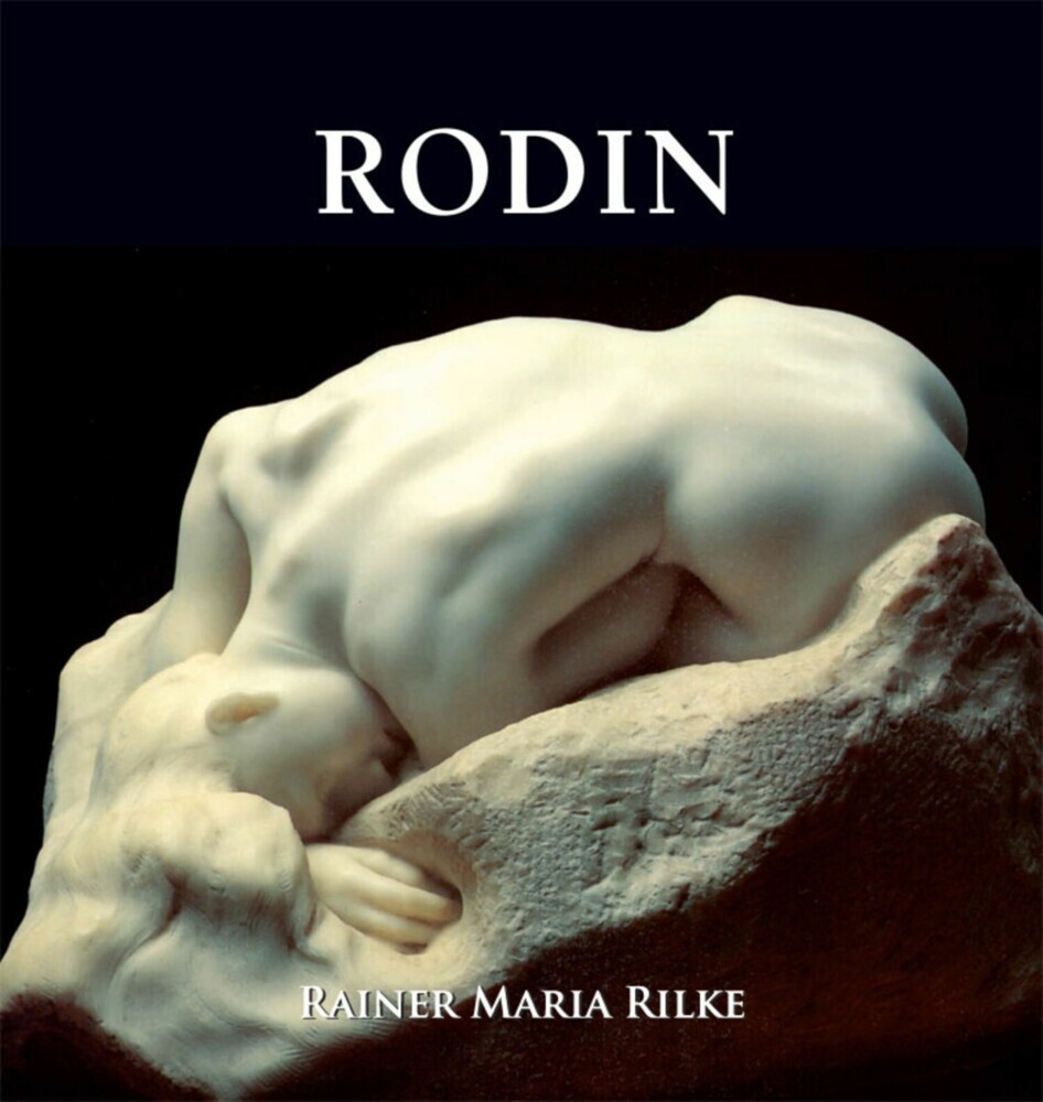 Rodin main product photo