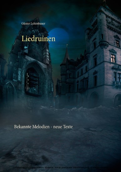 Liedruinen main product photo