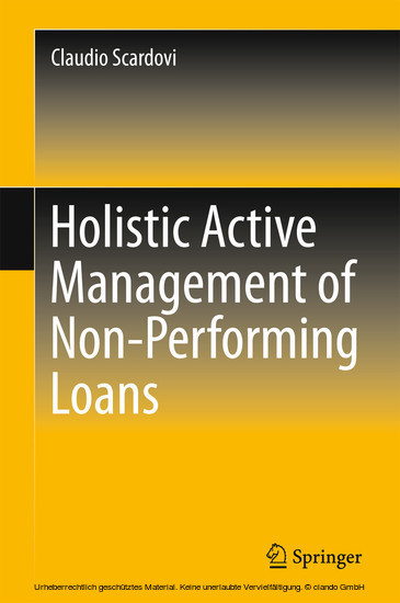 Holistic Active Management of Non-Performing Loans main product photo