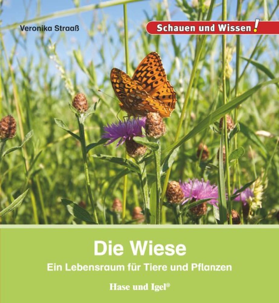 Die Wiese main product photo