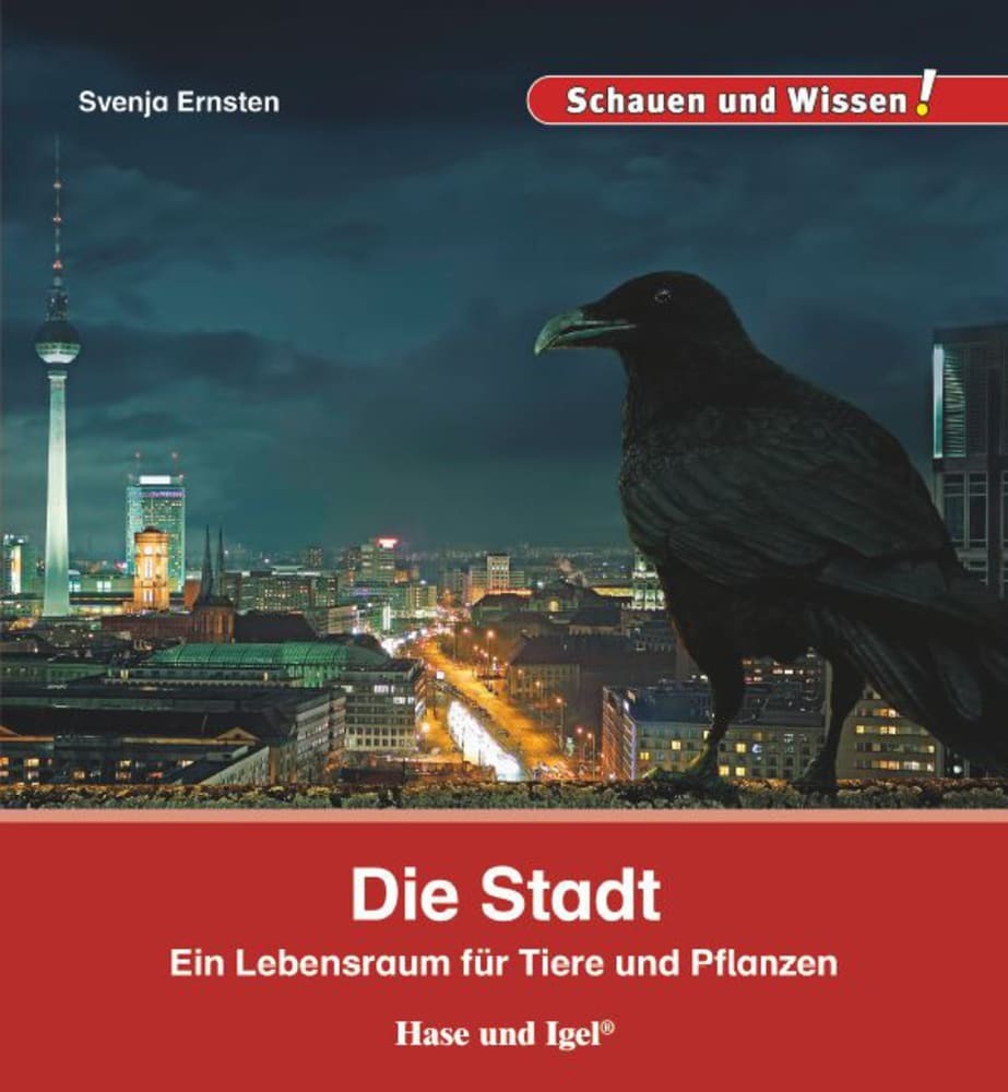 Die Stadt main product photo