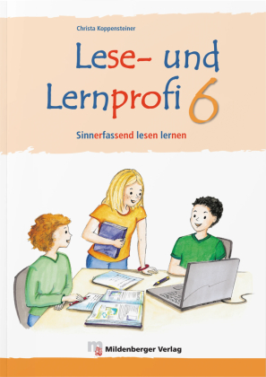 Lese- und Lernprofi 6 - Arbeitsheft - silbierte Ausgabe