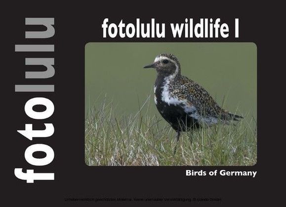 fotolulu wildlife I main product photo