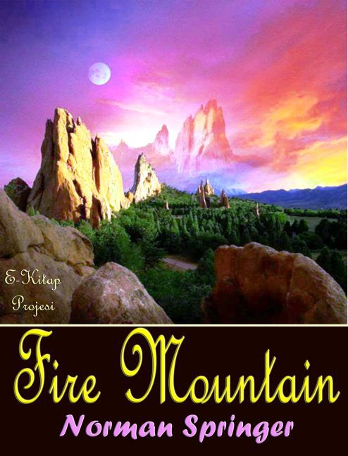 Fire Mountain main product photo