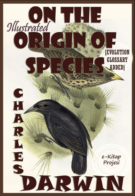 On the Origin Of Species main product photo