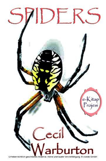 Spiders main product photo