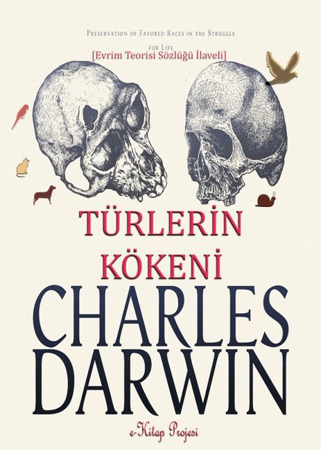 Darwin ve Türlerin Kökeni main product photo