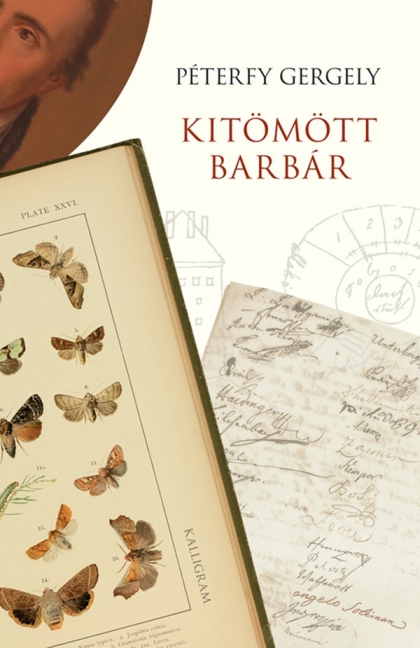 Kitömött barbár main product photo