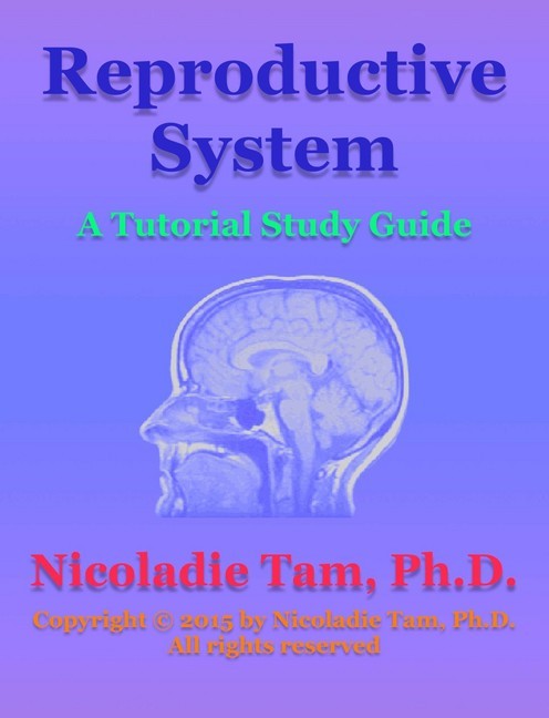 Reproductive System: A Tutorial Study Guide main product photo