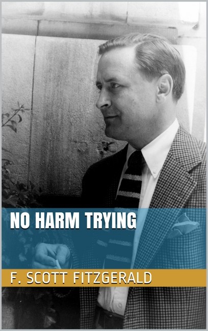 No Harm Trying main product photo