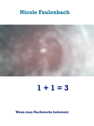 1 + 1 = 3