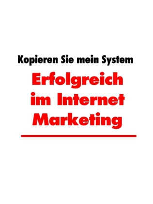 Erfolgreich im Internet Marketing