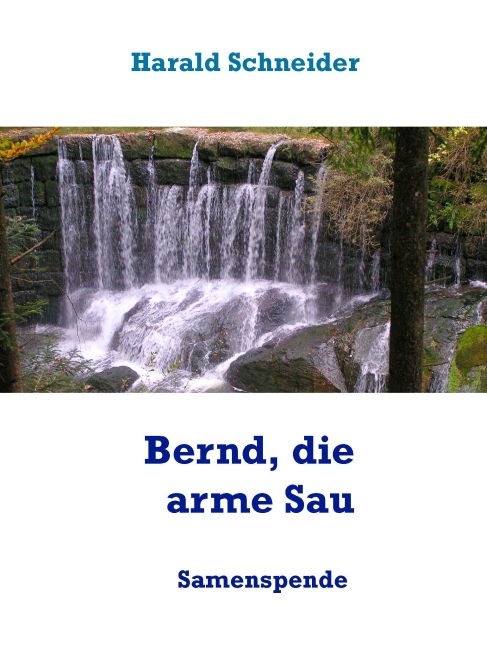 Bernd, die arme Sau main product photo