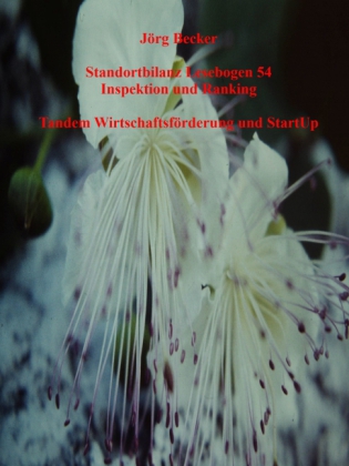 Standortbilanz Lesebogen 54 Inspektion und Ranking