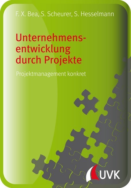 Unternehmensentwicklung durch Projekte main product photo