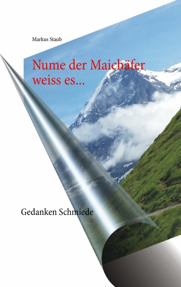 Nume der Maichäfer weiss es... main product photo