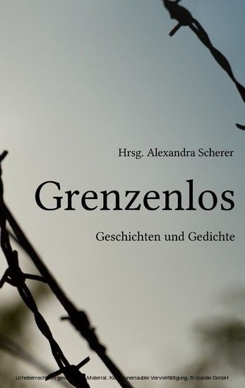 Grenzenlos main product photo