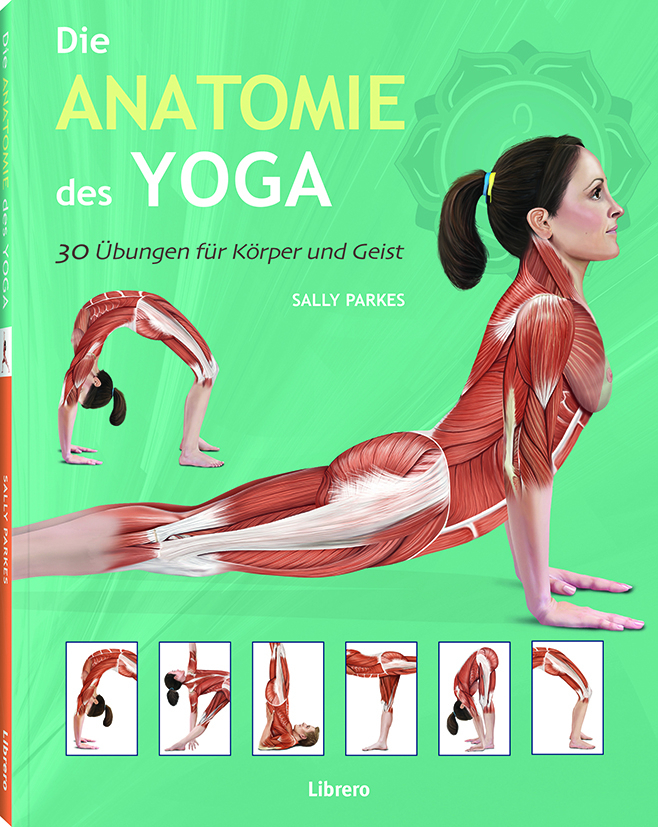 Die Anatomie des Yoga main product photo