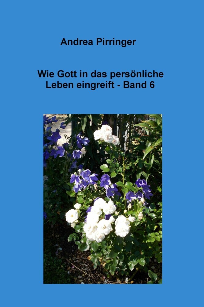 Wie Gott in das persönliche Leben eingreift - Band 6 main product photo
