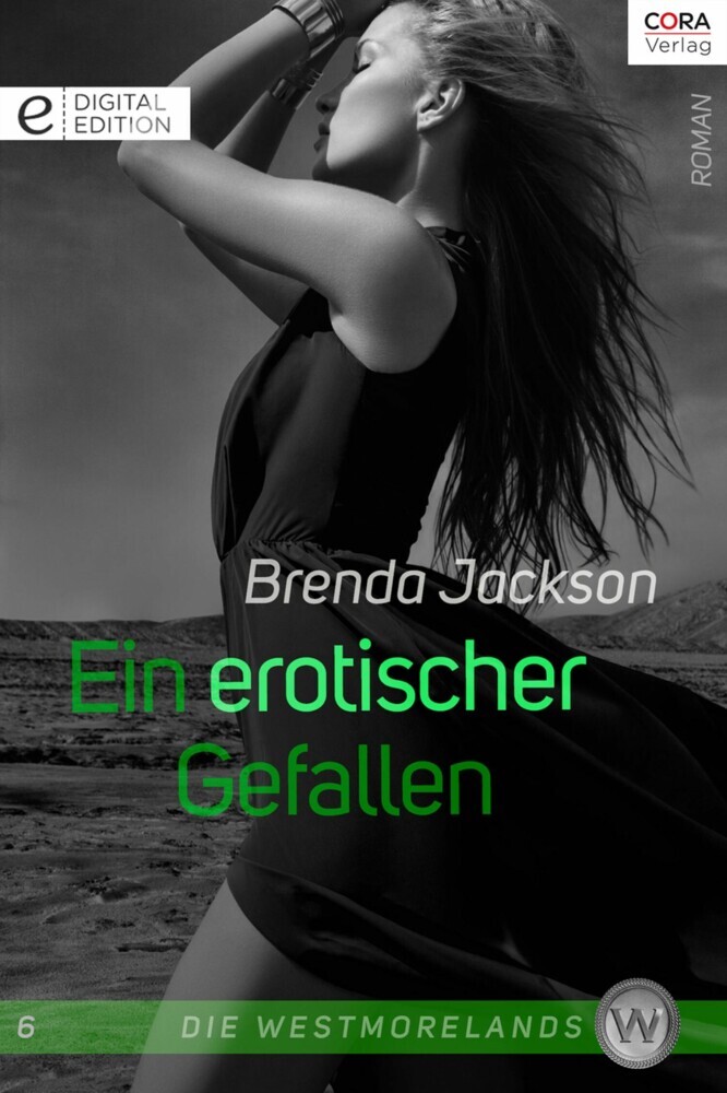 Ein erotischer Gefallen main product photo