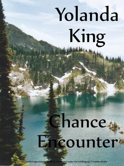 Chance Encounter main product photo