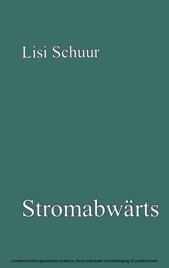 Stromabwärts main product photo