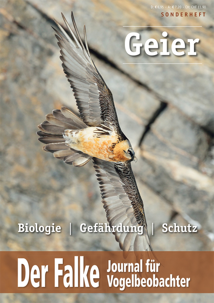 Geier in Europa main product photo