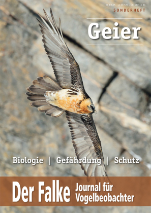 Geier in Europa