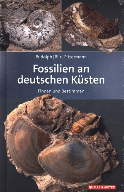 Fossilien an deutschen Küsten main product photo
