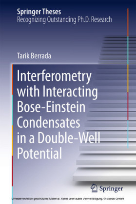 Interferometry with Interacting Bose-Einstein Condensates in a Double-Well Potential