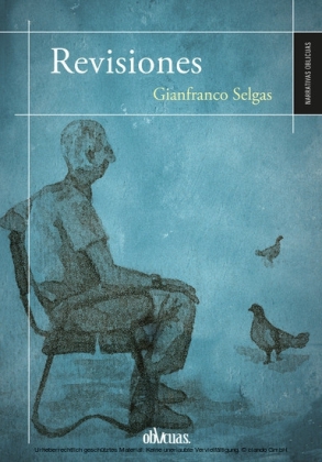 Revisiones