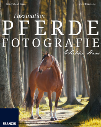 Faszination Pferdefotografie