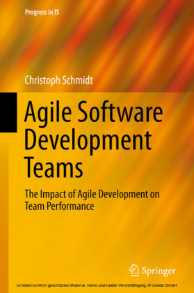 Agile Software Development Teams